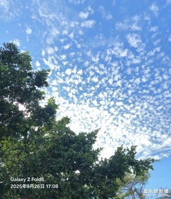 【步履間的風(fēng)景】棉花云