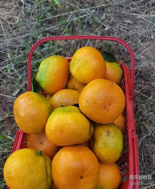 【Galaxy影像】#秋韻  秋色無邊