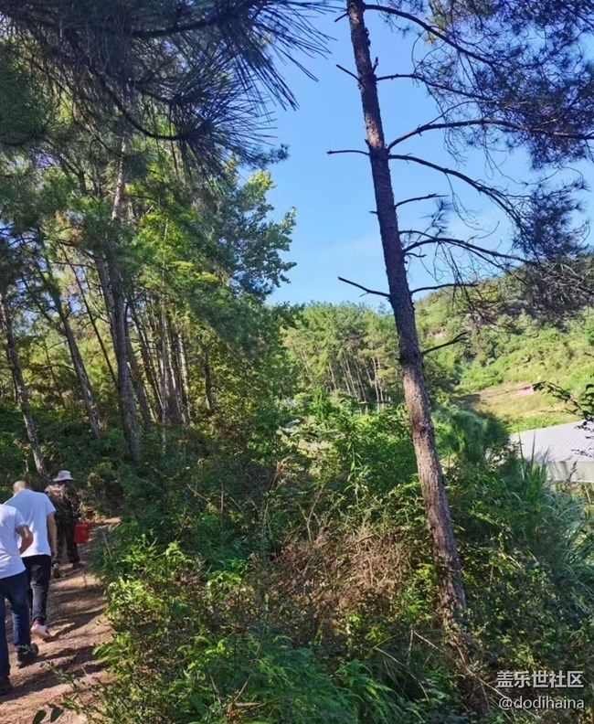 【Galaxy影像】#秋韻  秋色無邊