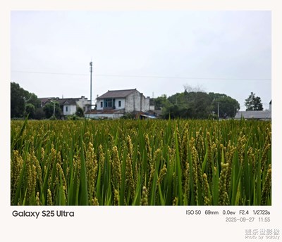 窗外的世界，豐收在望