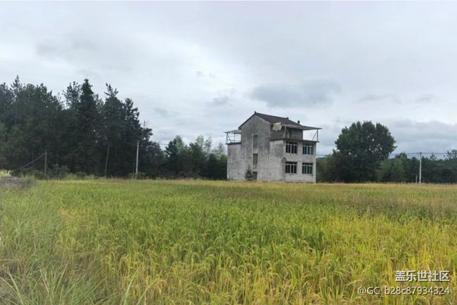 【Galaxy影像】#秋韻 豐收年