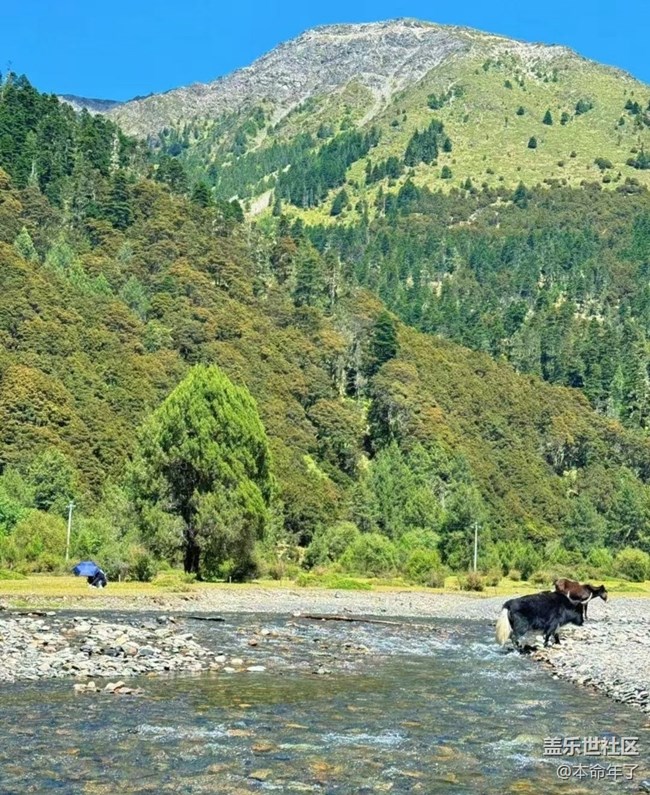 【Galaxy影像】#秋韻 秋游無(wú)底湖