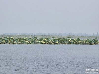 【步履間的風(fēng)景】旅行