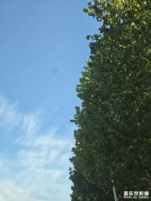 【步履間的風(fēng)景】+風(fēng)景