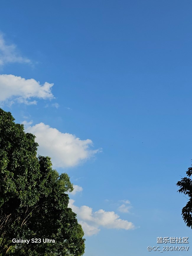 【深灣映秋】好時光