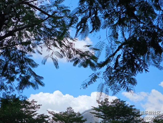 【仰望天空 】抬頭看