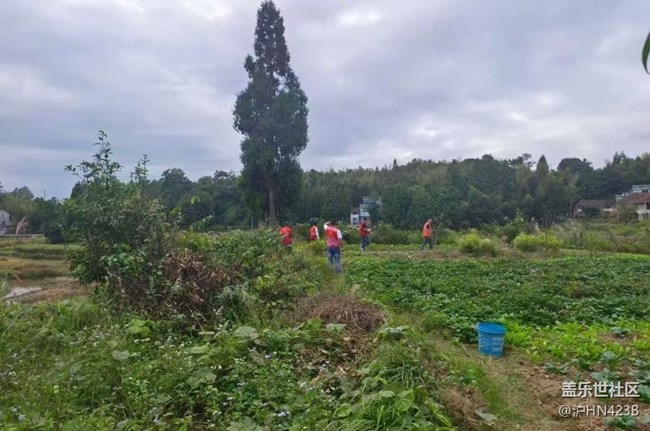 【Galaxy影像】#秋韻 鄉(xiāng)村凈土