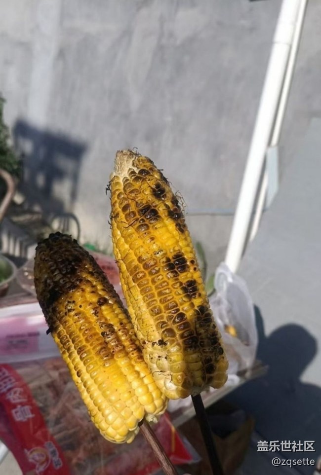 【桂月知味】燒烤