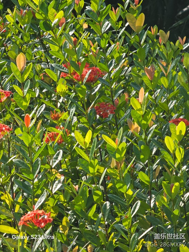 【深灣映秋】好時光