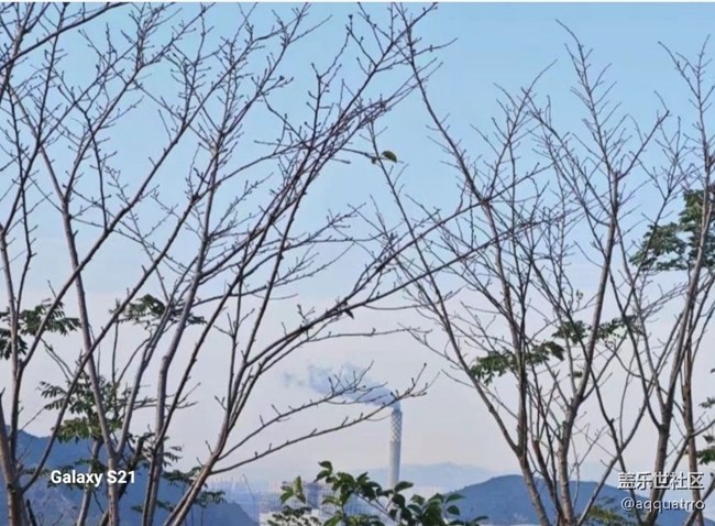 【深灣映秋】好天氣