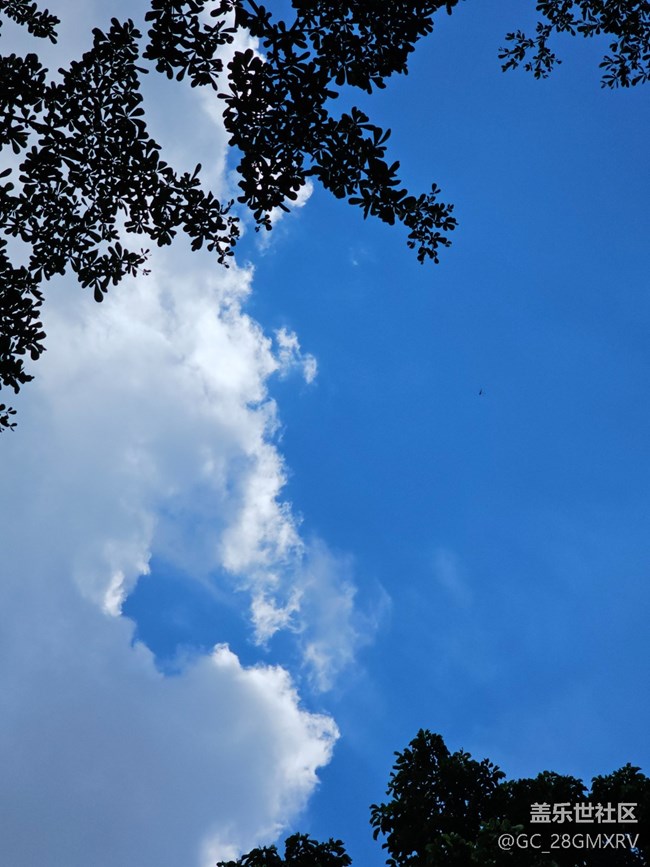 【仰望天空 】抬頭看