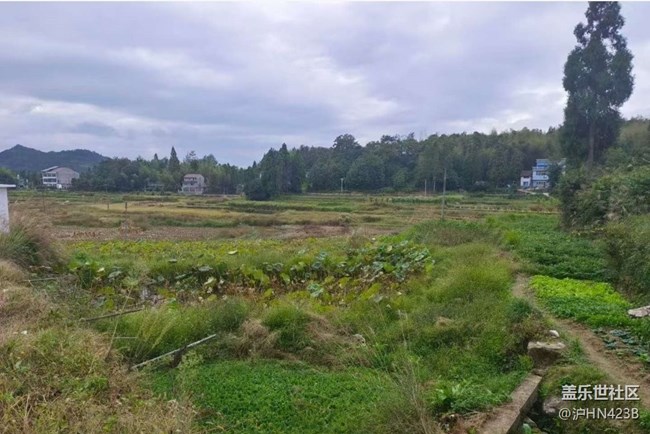 【Galaxy影像】#秋韻 鄉(xiāng)村凈土