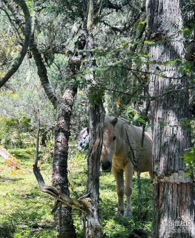 【Galaxy影像】#秋韻 秋游無(wú)底湖