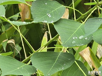 【步履間的風(fēng)景】+滋潤