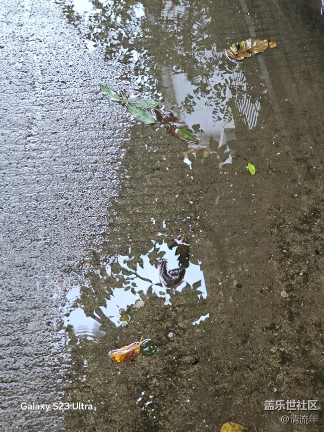 【深灣映秋】初秋日常