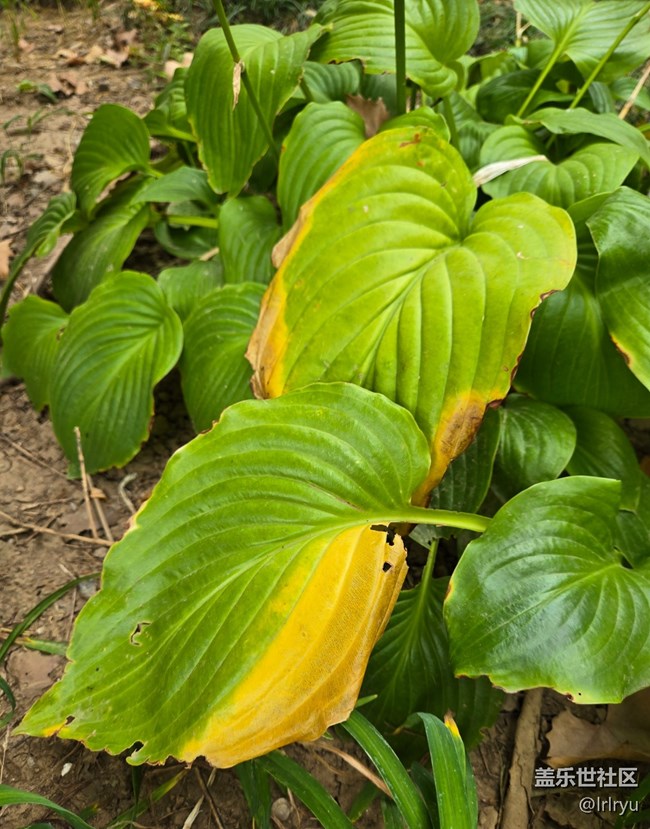 【初秋】靜謐秋晨