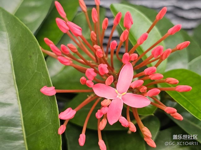 【初秋】天氣好
