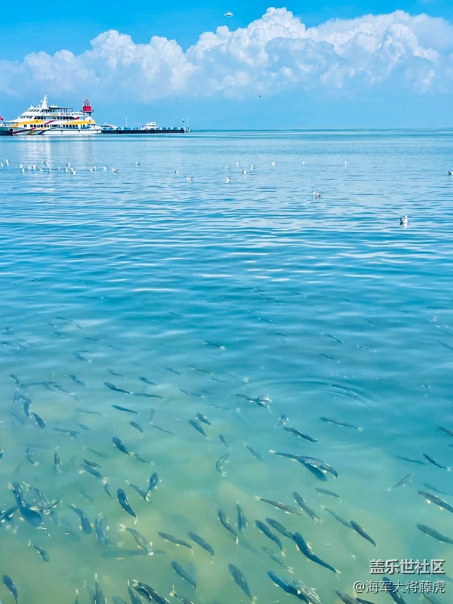 【被遺忘的角落】海的多樣畫卷
