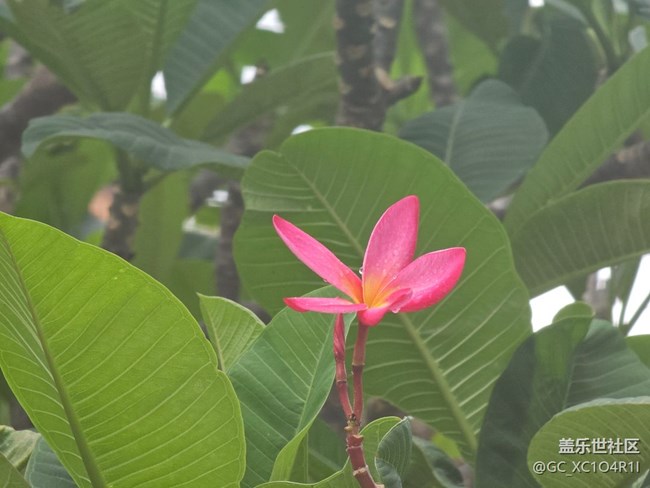【初秋】天氣好