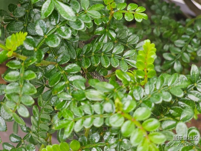 【初秋】天氣好