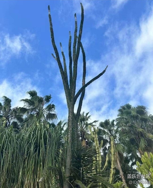 【Galaxy影像】#秋韻 打卡植物園