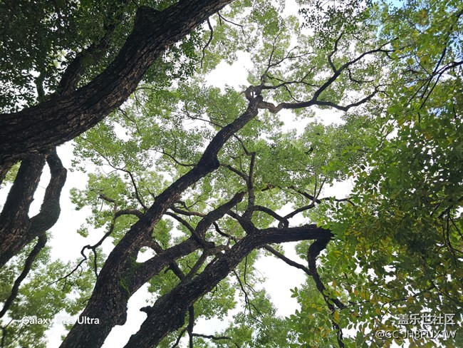 【深灣映秋】深灣日常