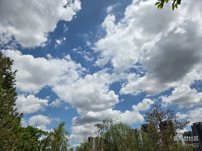 【仰望天空 】晴空