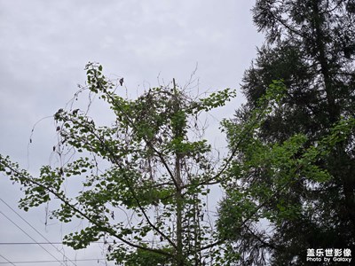 【步履間的風(fēng)景】+步履不停