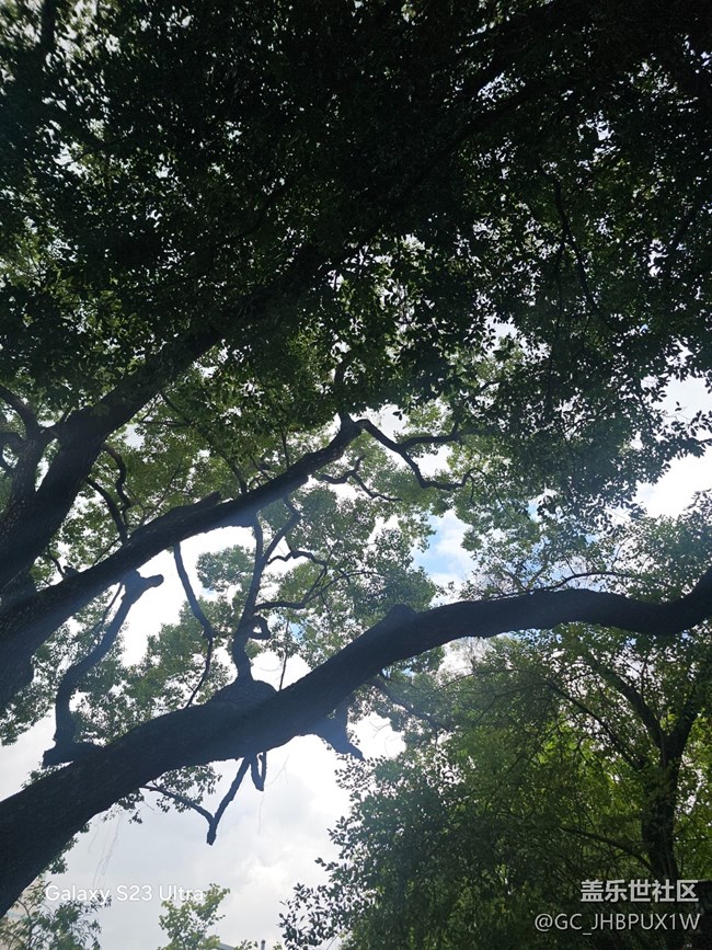 【深灣映秋】深灣日常