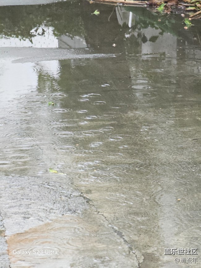 【深灣映秋】初秋日常