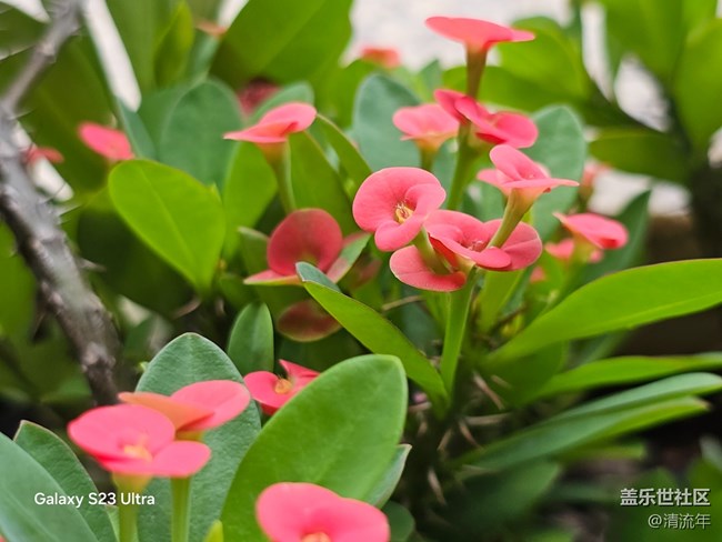 【深灣映秋】初秋日常