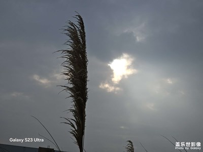 【步履間的風(fēng)景】+路上隨拍