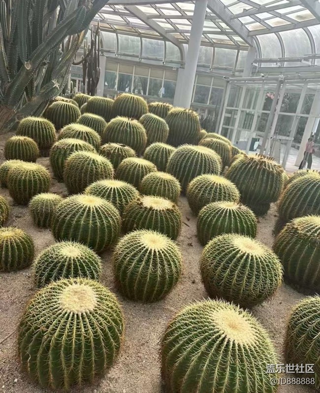 【Galaxy影像】#秋韻 打卡植物園