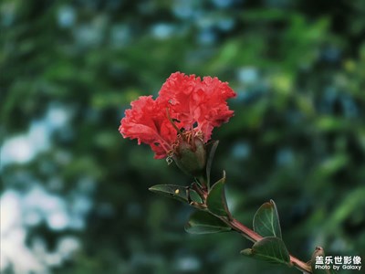 帶個相框非常好看