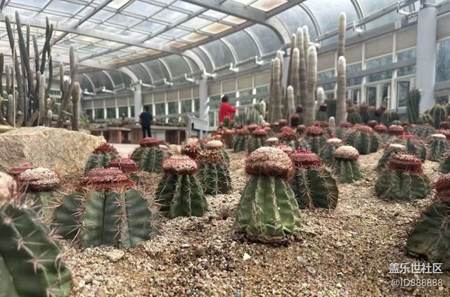 【Galaxy影像】#秋韻 打卡植物園