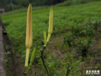 【步履間的風(fēng)景】+場(chǎng)景小拍