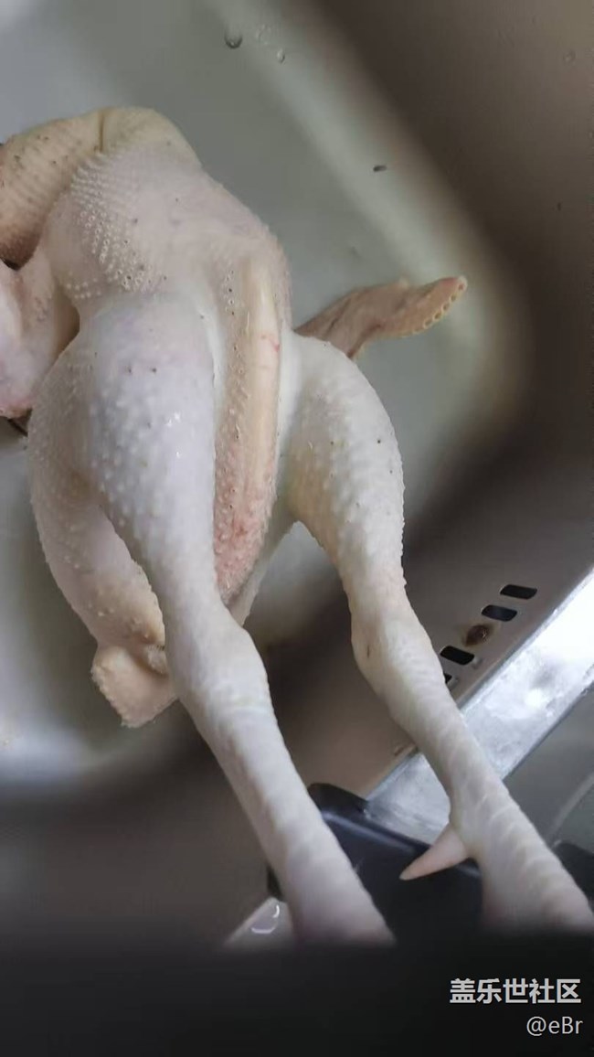 【桂月知味】吃雞