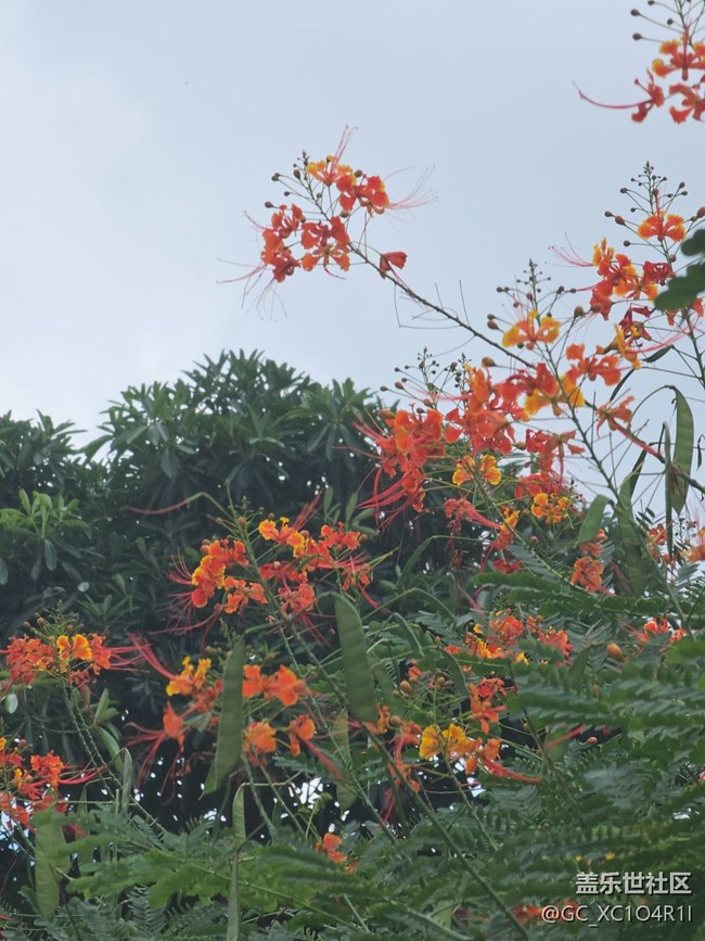 【初秋】天氣好