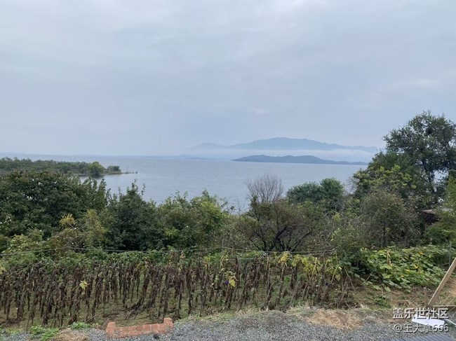 【城市溫度】深秋的草坪婚禮