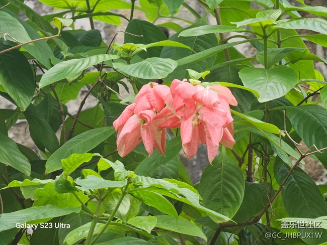 【深灣映秋】深灣日常