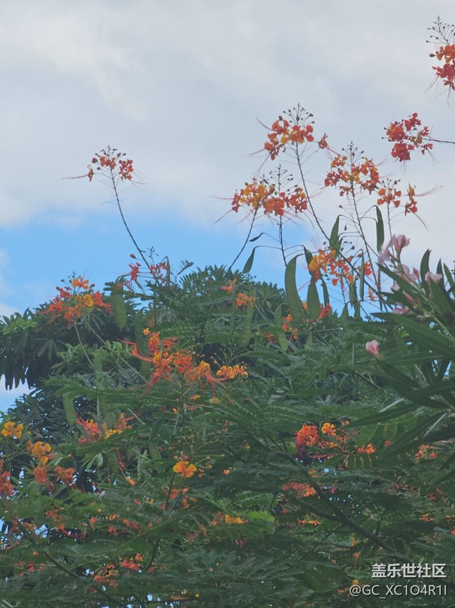 【初秋】天氣好