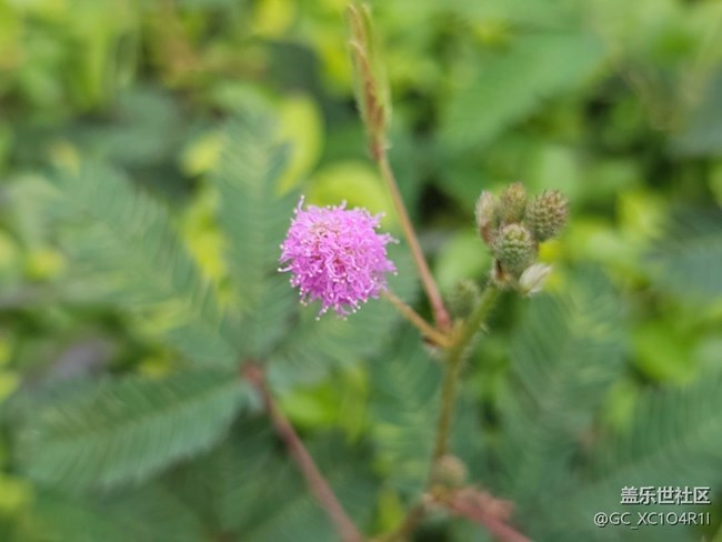【初秋】天氣好