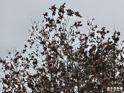 【步履間的風(fēng)景】+風(fēng)景