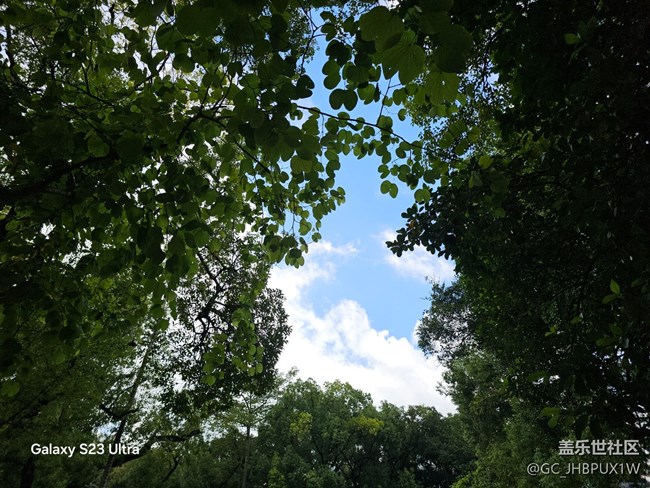 【深灣映秋】深灣日常