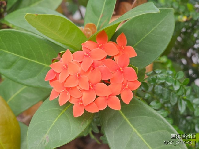 【初秋】天氣好