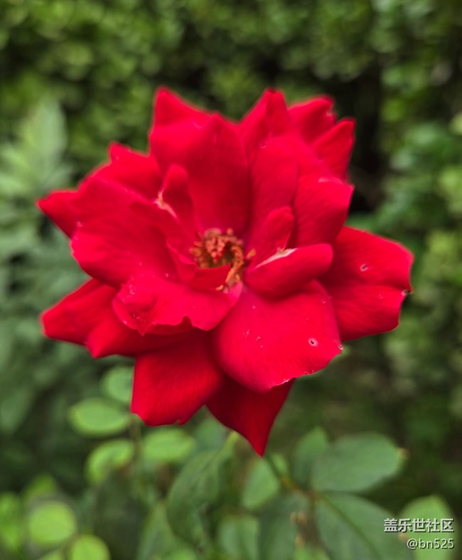 【Galaxy影像】#秋韻