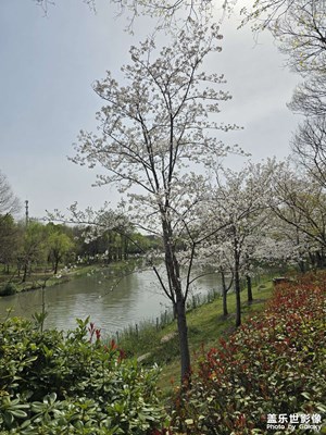【步履間的風(fēng)景】+公園小拍