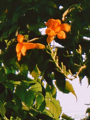 按下快門即是永遠? ?