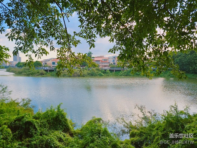 【Galaxy影像】#秋韻 早秋