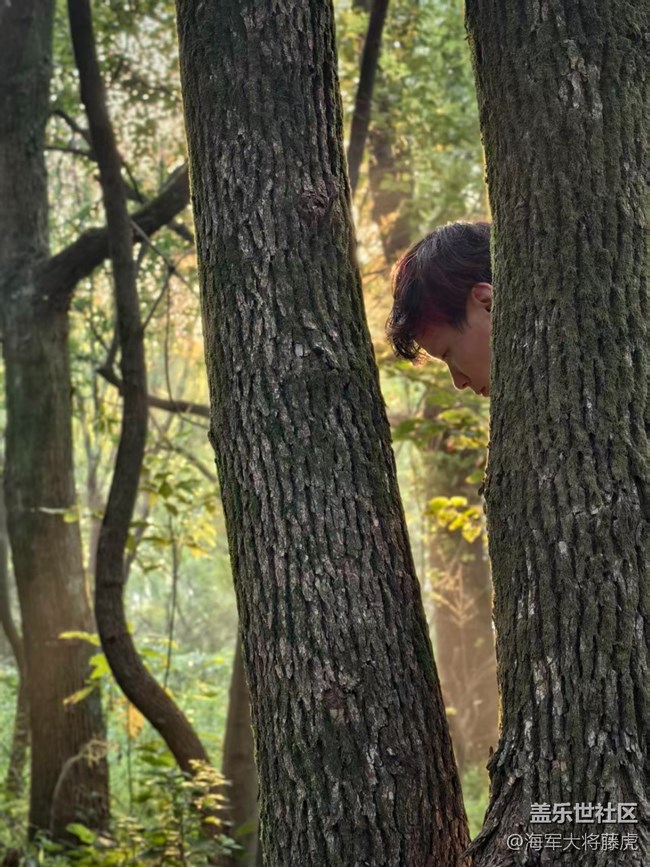 【被遺忘的角落】